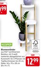 Blumenständer Angebote von KESPER bei E center Kaiserslautern für 12,99 €