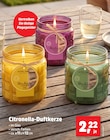 Thomas Philipps Nordenham - Citronella-Duftkerze Angebot im Prospekt Citronella-Duftkerze bei Thomas Philipps im Nordenham Prospekt für 2,22 €