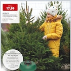 Gesägte Nordmanntanne Angebot in Achim Gesägte Nordmanntanne im aktuellen Prospekt bei BBM Baumarkt in Achim