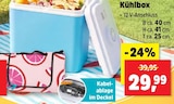 Kühlbox bei Thomas Philipps im Ronneburg Prospekt für 29,99 €