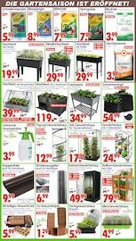 Aktueller Wreesmann Prospekt mit Küchengeräte, "DEIN SAISON- & SONDERPOSTENMARKT!", Seite 2