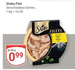 Filet im Angebot bei GLOBUS in Siegen Filet Angebote von Sheba bei GLOBUS Siegen für 0,99 €