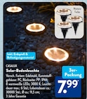 Solar-Bodenleuchte von CASALUX im aktuellen ALDI SÜD Prospekt für 7,99 €