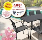 Table Piazza 10 places + 6 fauteuils à Maxi Bazar dans Aups