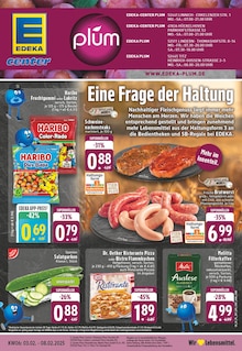 EDEKA Prospekt "Aktuelle Angebote" mit  Seiten (Erkelenz)