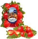 Erdbeeren Angebote von San Lucar bei REWE Menden für 2,99 €