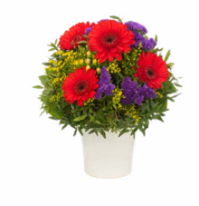 Blumensträuße „Sommerglück“ bei ALDI Nord in Bremerhaven Blumensträuße „Sommerglück“ im Angebot bei ALDI Nord Bremerhaven für 15,99 €
