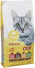 Le 2ème à -30% sur la gamme des croquettes chats 2 kg CARREFOUR COMPANINO - CARREFOUR COMPANINO dans le catalogue Supermarchés Match
