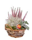 Bepflanzter Herbstkorb im Lidl Prospekt Bepflanzter Herbstkorb im aktuellen Lidl Prospekt für 5,99 €