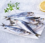 Sardine Bretagne - Supeco à Paris Sardine Bretagne en promo chez Supeco Paris à 4,99 €