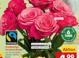 Aktuelles Großköpfige Hochland Rosen Angebot bei Netto Marken-Discount in Mönchengladbach ab 4,99 €
