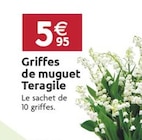 Griffes de muguet - Teragile en promo chez LaMaison.fr Valence à 5,95 €