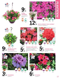 Prix et réduction Dipladenia dans le prospectus E.Leclerc en cours Offre Dipladenia dans le catalogue E.Leclerc du moment à la page 7