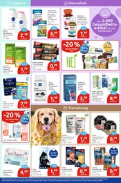 Aktueller budni Prospekt mit Damenunterwäsche, "drogeriemarkt", Seite 5