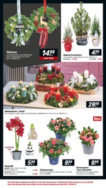 Aktueller toom Baumarkt Prospekt mit Garten, "Respekt, wer's selber macht.", Seite 4