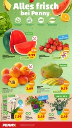 Eukalyptus Angebot & Preis im aktuellen Penny-Markt Prospekt Eukalyptus Angebot im aktuellen Penny-Markt Prospekt auf Seite 2