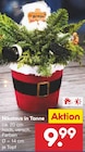 Nikolaus in Tanne Angebote bei Netto Marken-Discount Ulm für 9,99 €