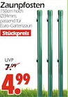 Zaunpfosten im Angebot bei Wreesmann in Cottbus Zaunpfosten Angebote bei Wreesmann Cottbus für 4,99 €