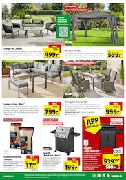 Briketts Angebot & Preis im aktuellen Hagebaumarkt Prospekt Briketts Angebot im aktuellen Hagebaumarkt Prospekt auf Seite 17