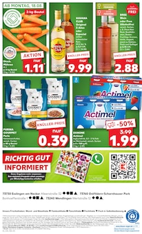 Havana Club im aktuellen Kaufland Prospekt (Kirchheim (Teck)) Havana Club im Kaufland Prospekt "KNĂśLLER" mit 58 Seiten (Kirchheim (Teck))