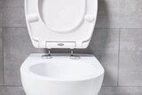 Duoplast-WC-Sitz Angebote von Livarno Home bei Lidl Lüdenscheid für 12,49 €