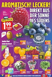 Ähnliche Pfirsichbaum Angebote im Prospekt "Aktuelle Angebote" von E center Ähnliches Angebot bei E center in Prospekt "Aktuelle Angebote" gefunden auf Seite 2