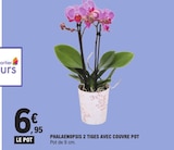 Phalaenopsis 2 tiges avec couvre pot dans le catalogue E.Leclerc