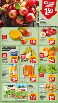 Salat im REWE Prospekt "Dein Markt" mit 26 Seiten (Nürnberg)