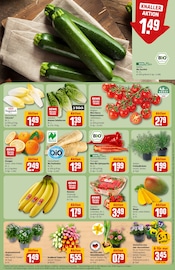 Tulpen im REWE Prospekt in Fürth Aktueller REWE Prospekt mit Tulpen, "Dein Markt", Seite 9