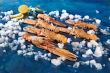 LANGOUSTINES CRUES - SANS MARQUE en promo chez Auchan Hypermarché Bagneux à 12,99 €