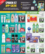 Shampoo im E center Prospekt in Germering Aktueller E center Prospekt mit Shampoo, "DAS BESTE DER WOCHE", Seite 19
