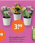 Kunstpflanze Angebote bei tegut Ludwigshafen für 3,99 €