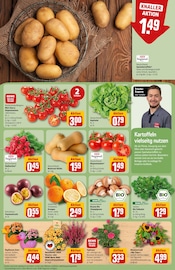 Aktueller REWE Prospekt mit Dekoration, "Dein Markt", Seite 9