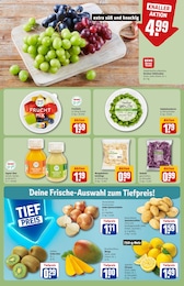 Rotkohl Angebot im aktuellen REWE Prospekt auf Seite 8