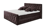 Aktuelles Boxspringbett Cashfield Angebot bei Sconto SB in Frankfurt (Main) ab 1.499,00 €
