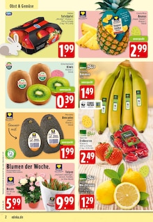 Bananen im EDEKA Prospekt "Aktuelle Angebote" mit 28 Seiten (Osnabrück)