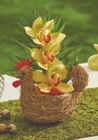 Orchidée 3 fleurons Poule en promo chez Carrefour Orchidée 3 fleurons Poule dans le catalogue Carrefour