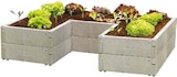 Hochbeet „Timber Ergoline“  im aktuellen Hellweg Prospekt für 187,99 €