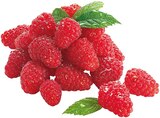 Bio Himbeeren Angebote von REWE bei REWE Völklingen für 2,99 €