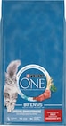 Croquettes spécial chats stérilisés - PURINA ONE - Carrefour à Issy-les-Moulineaux Croquettes spécial chats stérilisés - PURINA ONE en promo chez Carrefour Issy-les-Moulineaux à 23,09 €