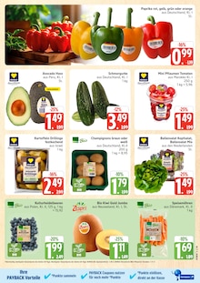 Marktkauf Prospekt der aktuellen Woche, gültig von 10.08.2026 bis 15.08.2026 Aktueller Marktkauf Prospekt "Top Angebote" mit 36 Seiten