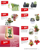 Plantes Angebote im Prospekt "NOUVEL AN LUNAIREE" von Carrefour auf Seite 23