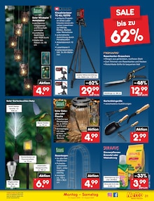 Pflanzen im aktuellen Netto Marken-Discount Prospekt (Braunschweig) Pflanzen im Netto Marken-Discount Prospekt "Aktuelle Angebote" mit 63 Seiten (Braunschweig)