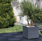 Promo Pot carré graphit 39 cm gris anthracite à 39,00 € dans le catalogue Espace Emeraude à Noyal-Pontivy