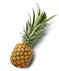 Ananas im Kaufland Prospekt Ananas von im aktuellen Kaufland Prospekt für 1,79 €