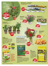 Lidl Blumenerde Angebot & Preis im aktuellen Prospekt 🧡