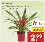 Guzmanie Angebote bei Netto Marken-Discount München für 2,99 €