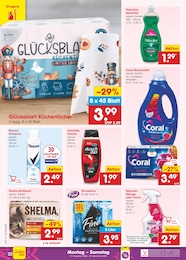 Netto Marken-Discount Tierfutter im Prospekt 