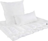 Aktuelle Kopfkissen Angebote bei XXXLutz in Osnabrück Aktuelles Kopfkissen ca. 40 x 80 cm Angebot bei XXXLutz in Osnabrück ab 39,99 €