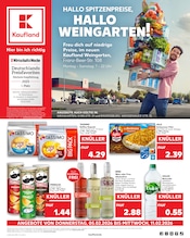 Aktueller Kaufland Supermarkt Prospekt in Kißlegg und Umgebung, "Aktuelle Angebote" mit 72 Seiten, 05.02.2026 - 11.02.2026